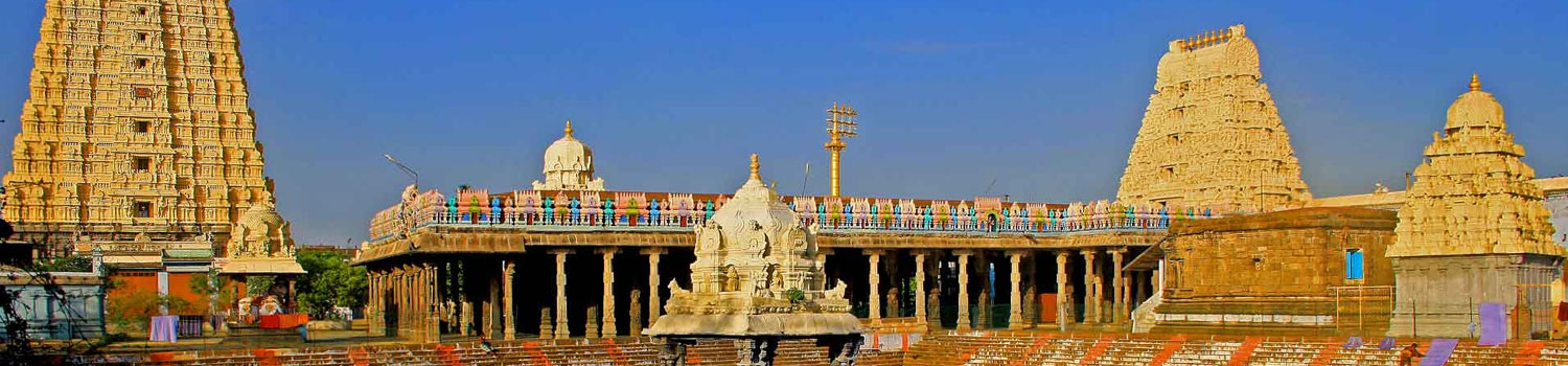 South India Palaces & Temples Tour