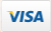 Pay via Visa Travelsite India