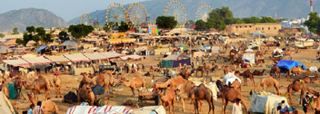 Pushkar Camel Fair